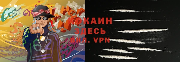 PSILOCYBIN Козловка