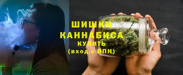 PSILOCYBIN Козловка