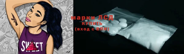 PSILOCYBIN Козловка