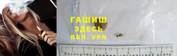 PSILOCYBIN Козловка