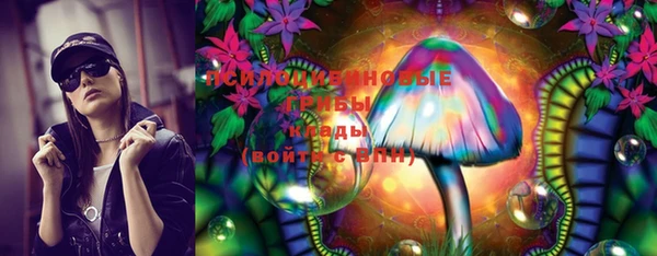PSILOCYBIN Козловка