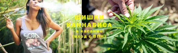 ГАЛЛЮЦИНОГЕННЫЕ ГРИБЫ Кодинск