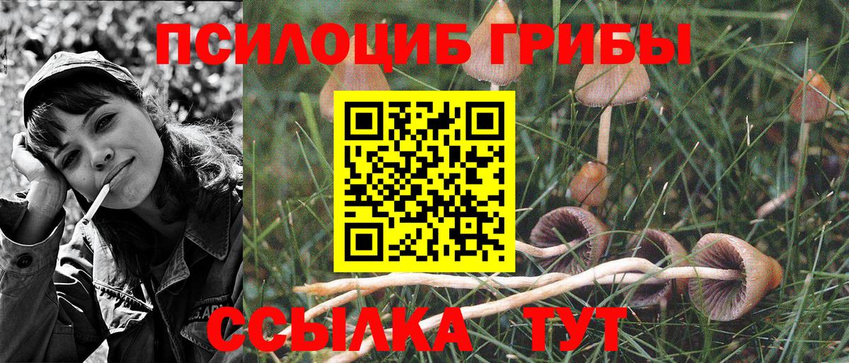 Кропоткин  Псилоцибиновые грибы Psilocybine cubensis  Вход с VPN  Галлюциногенные грибы Magic Shrooms 